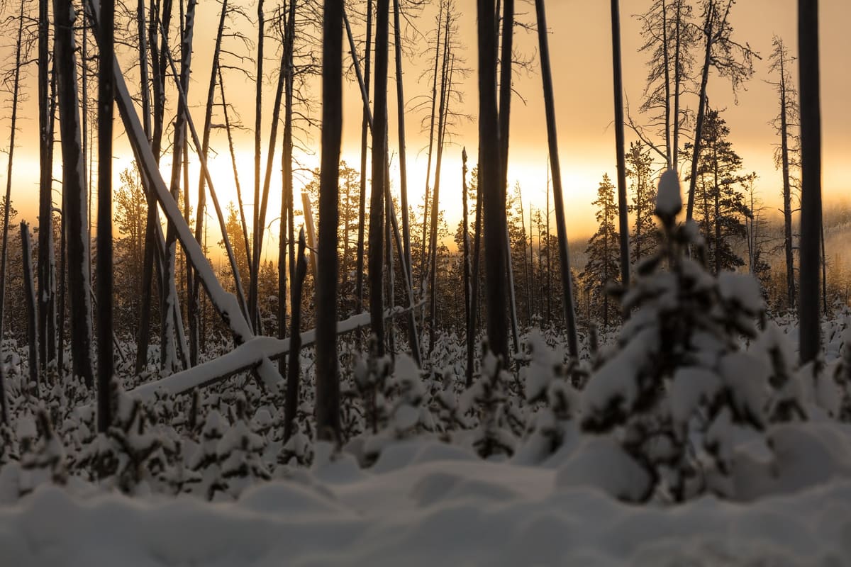 Sunrise at Norris Junction